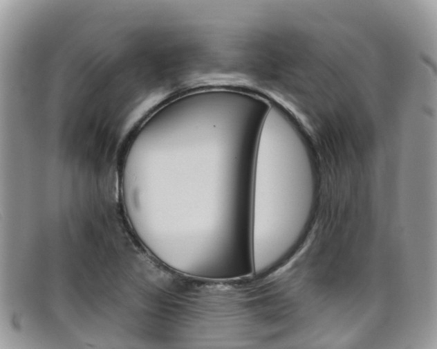 X0000099441317200805090739