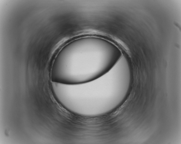 X0000099441318200805090739