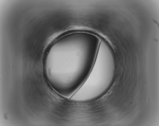 X0000099441319200805090739