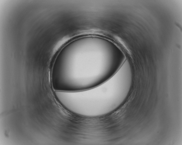 X0000099441320200805090739