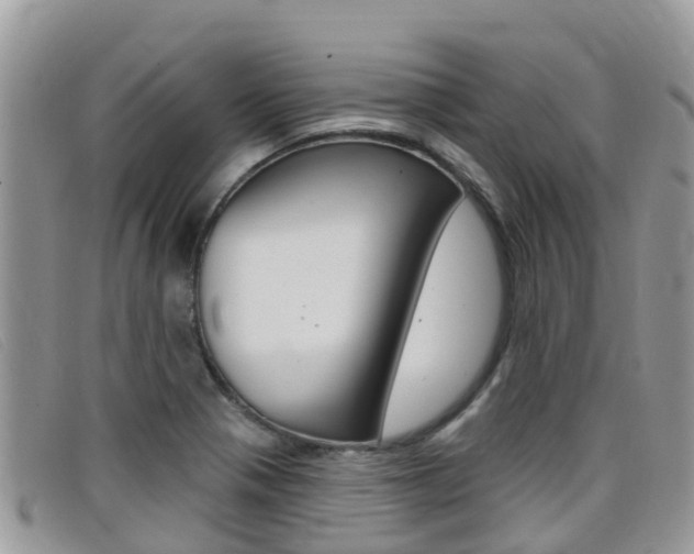 X0000099441321200805090739
