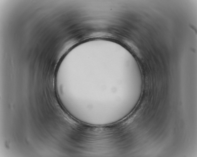 X0000099441322200805090739