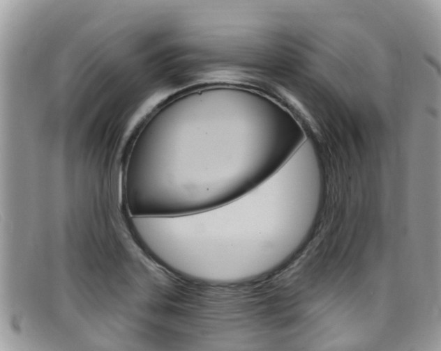 X0000099441323200805090739