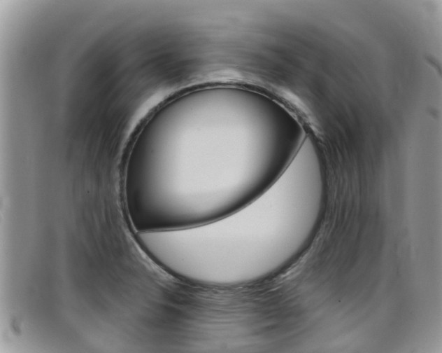 X0000099441326200805090739