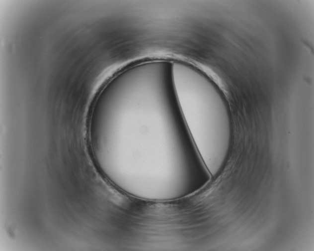 X0000099441327200805090739