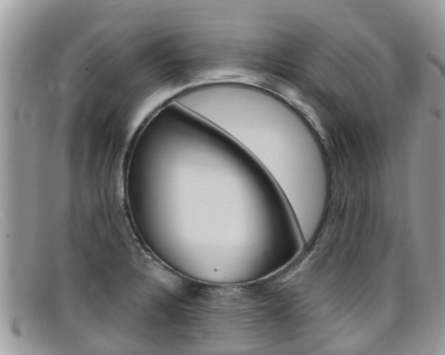 X0000099441328200805090739