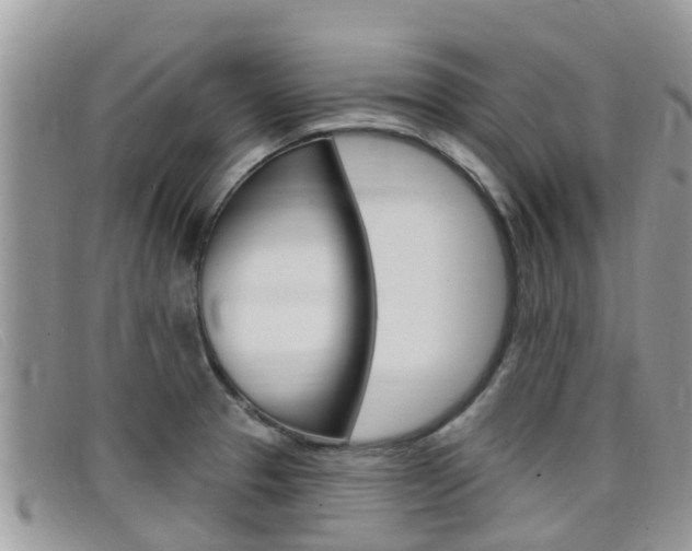 X0000099441329200805090739
