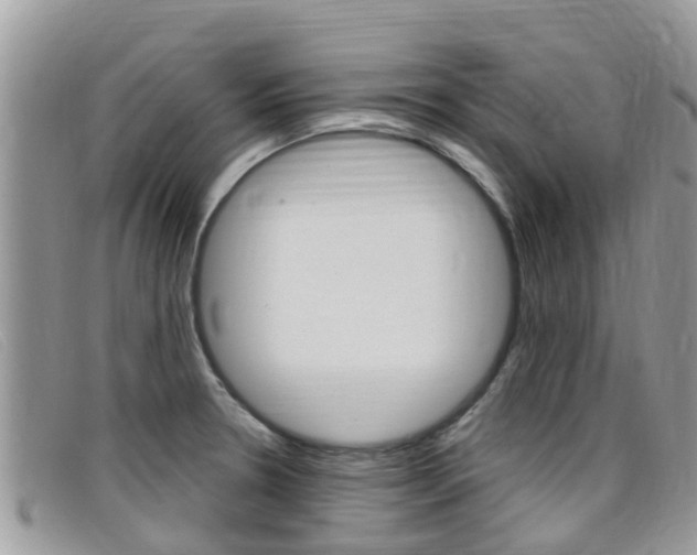 X0000099441330200805090740