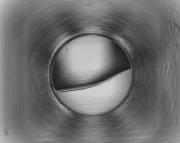 X0000099441331200805090740