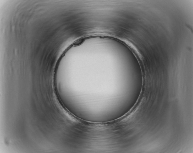 X0000099441333200805090740