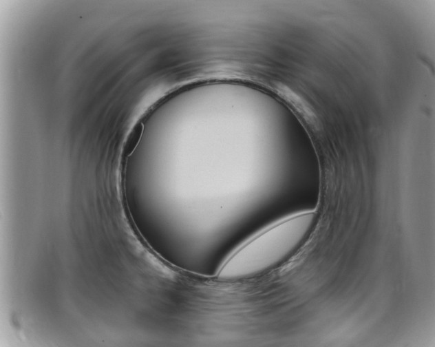 X0000099441334200805090740