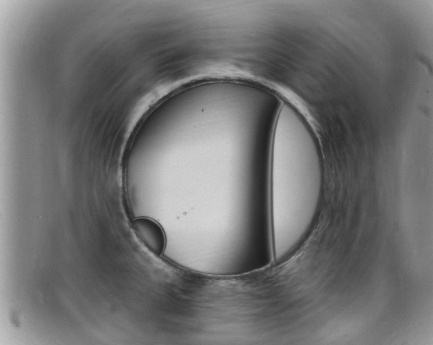 X0000099441335200805090740