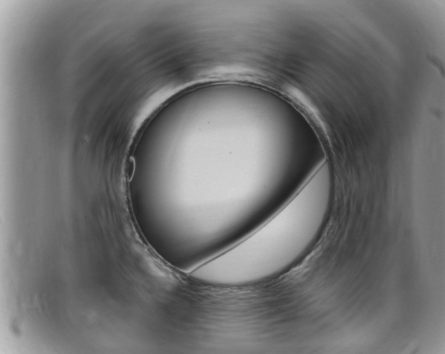 X0000099441336200805090740