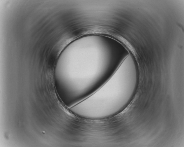 X0000099441337200805090740