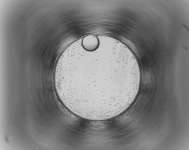 X0000099441338200805090740