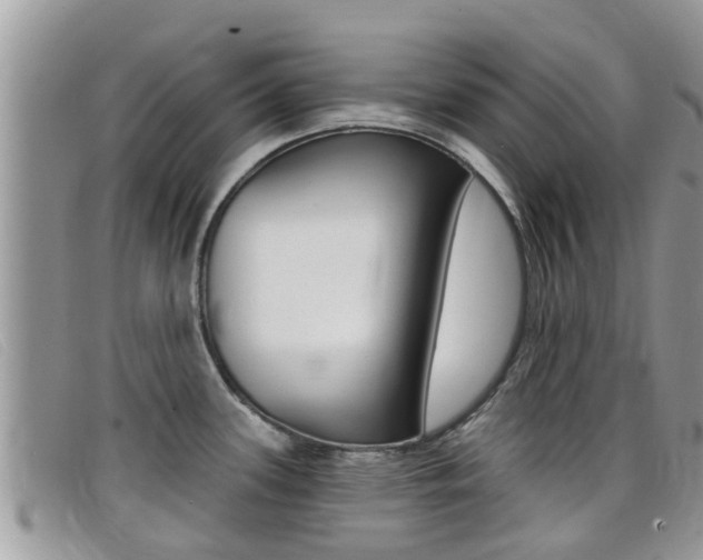 X0000099441339200805090740