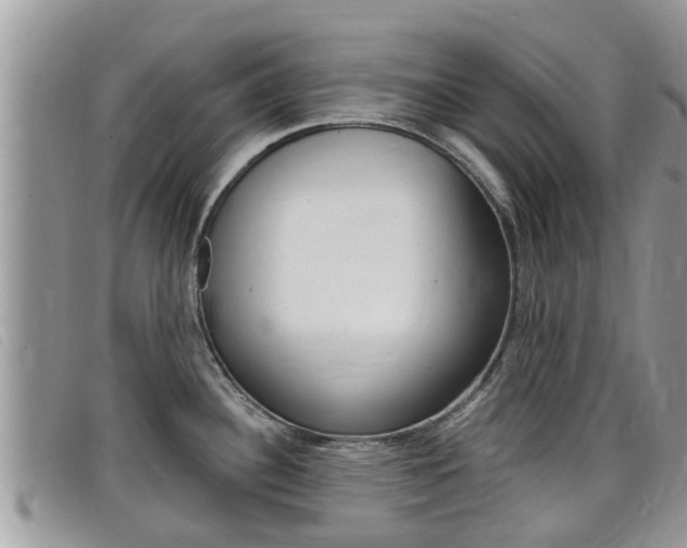 X0000099441340200805090740