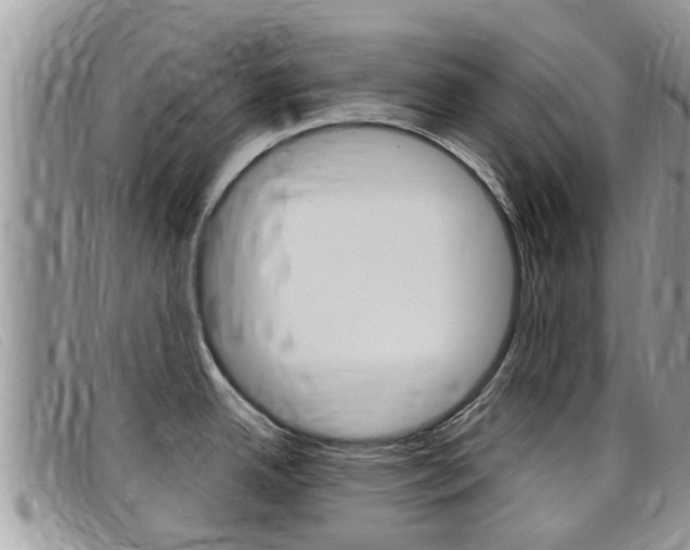 X0000099441342200805090740