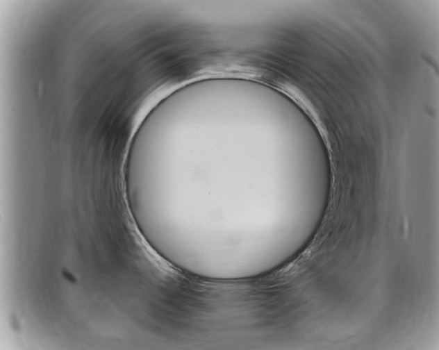 X0000099441344200805090740