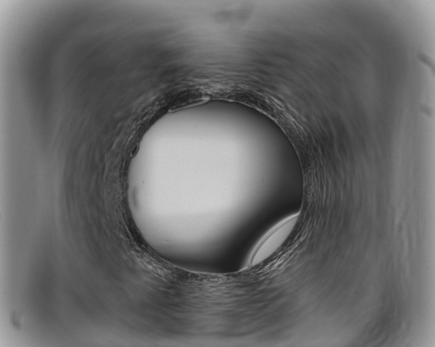 X0000099441345200805090739