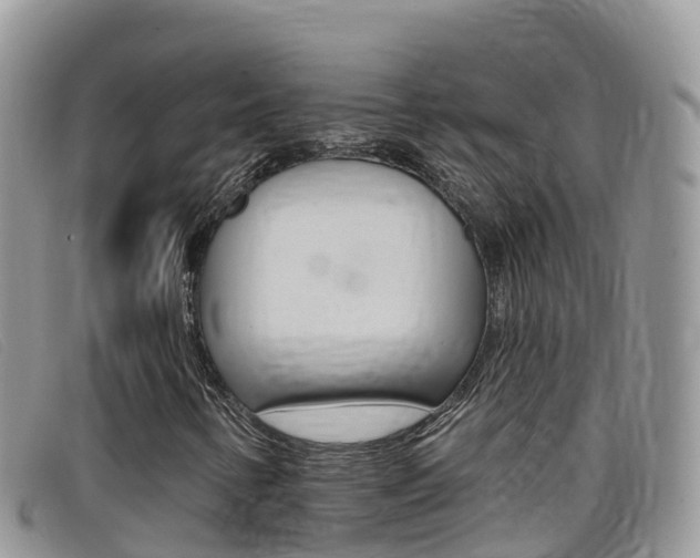 X0000099441346200805090739