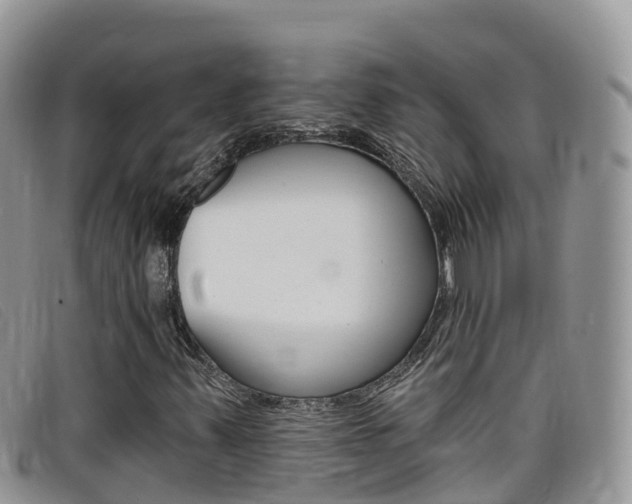 X0000099441347200805090739