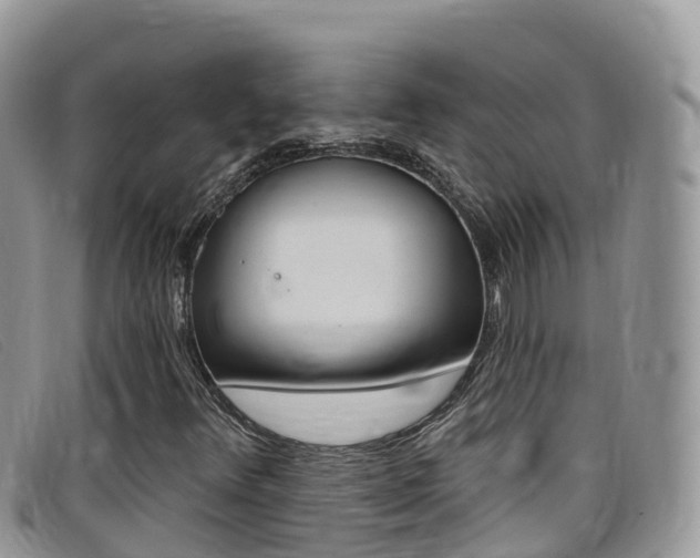 X0000099441348200805090739