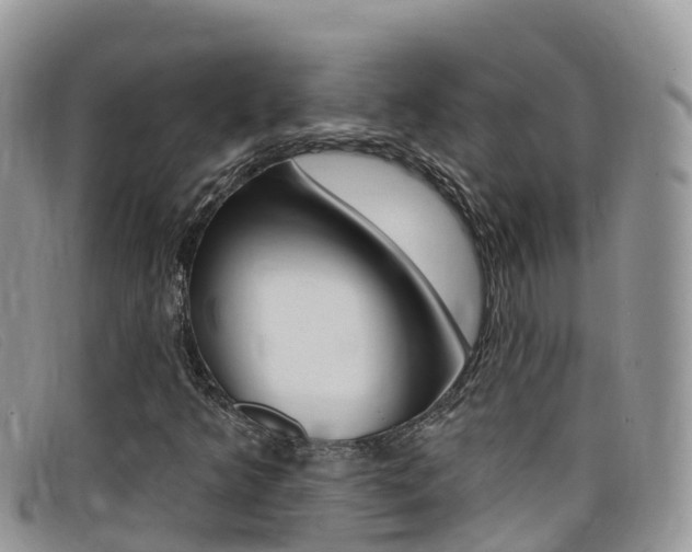 X0000099441349200805090739