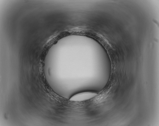 X0000099441350200805090739