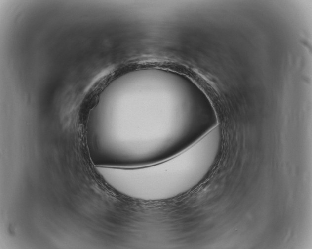 X0000099441351200805090739