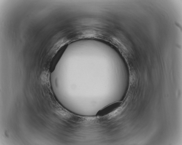 X0000099441353200805090739