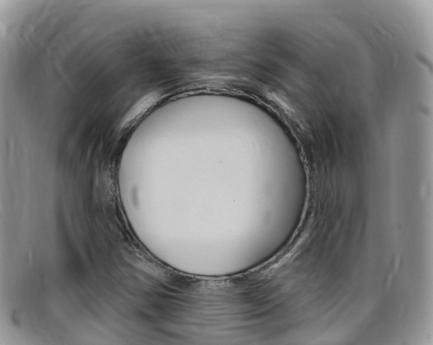 X0000099441354200805090739