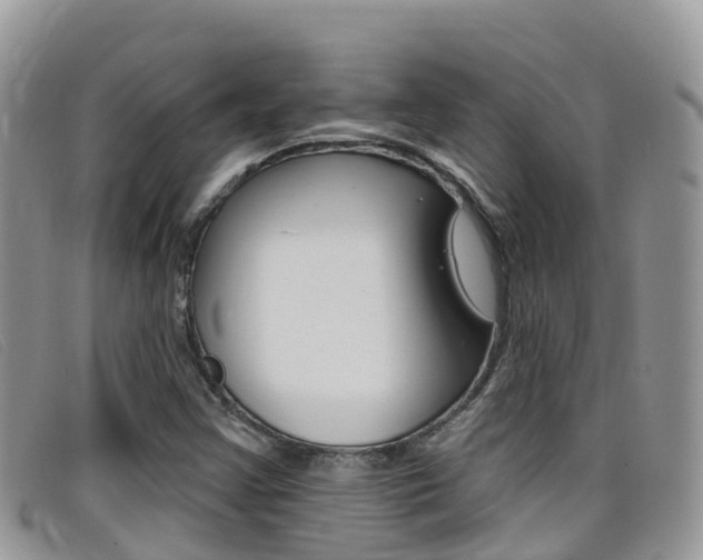 X0000099441355200805090739