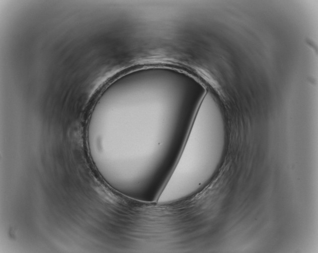 X0000099441356200805090739