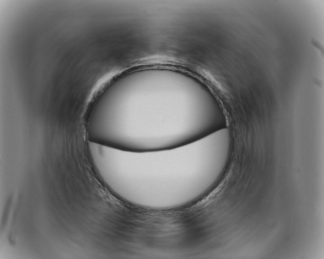 X0000099441358200805090739