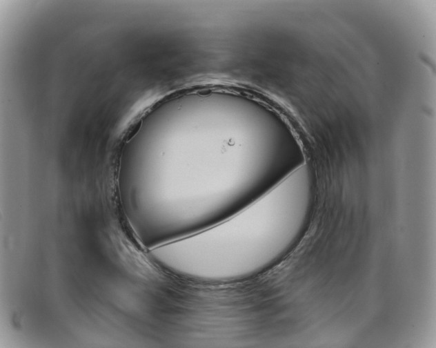 X0000099441359200805090739