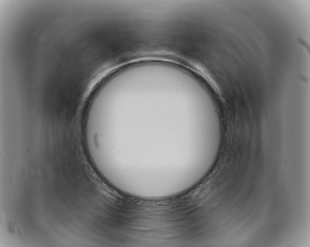 X0000099441360200805090739
