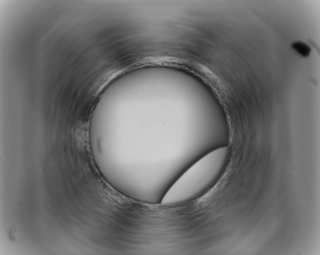X0000099441361200805090739