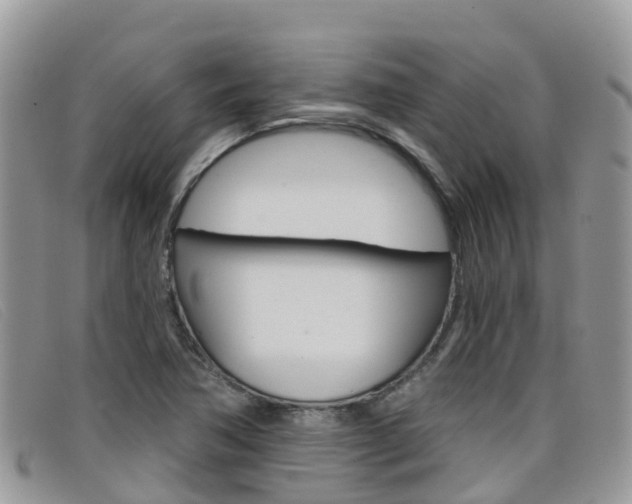 X0000099441362200805090739
