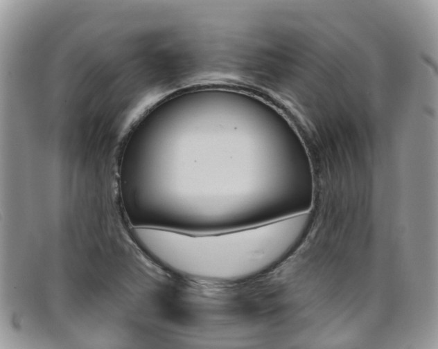 X0000099441363200805090739