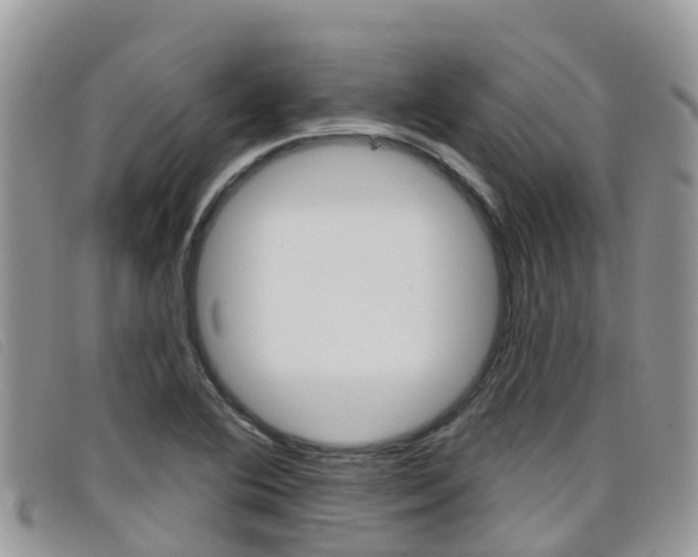 X0000099441364200805090739