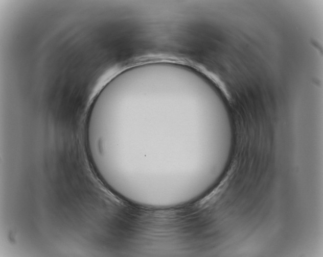 X0000099441365200805090739