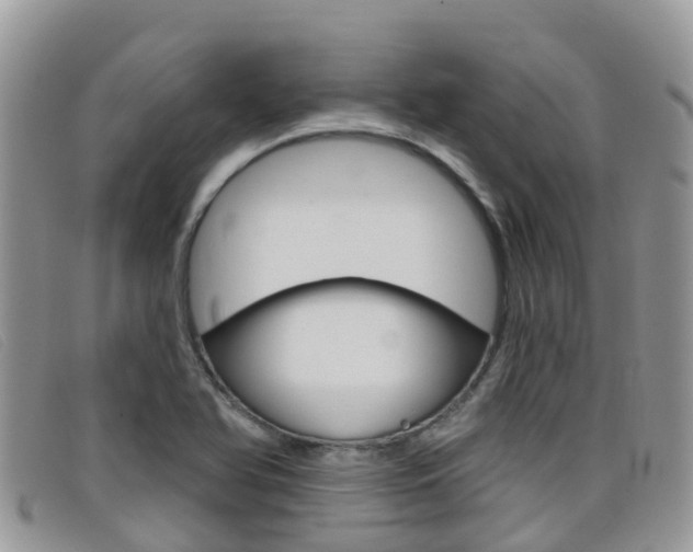 X0000099441366200805090739