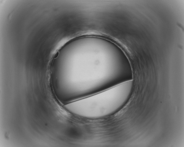 X0000099441367200805090739