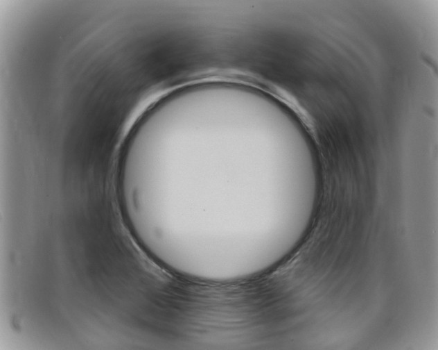 X0000099441368200805090739