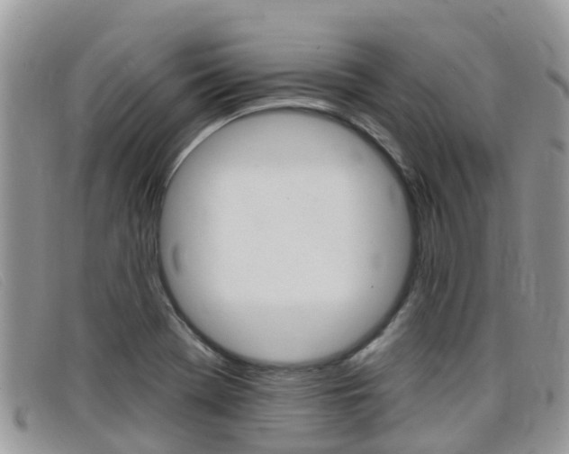 X0000099441369200805090739