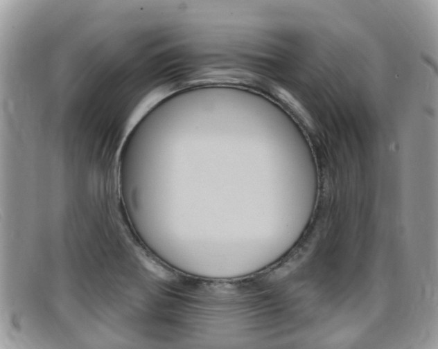 X0000099441370200805090739