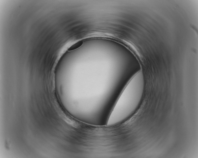 X0000099441371200805090739