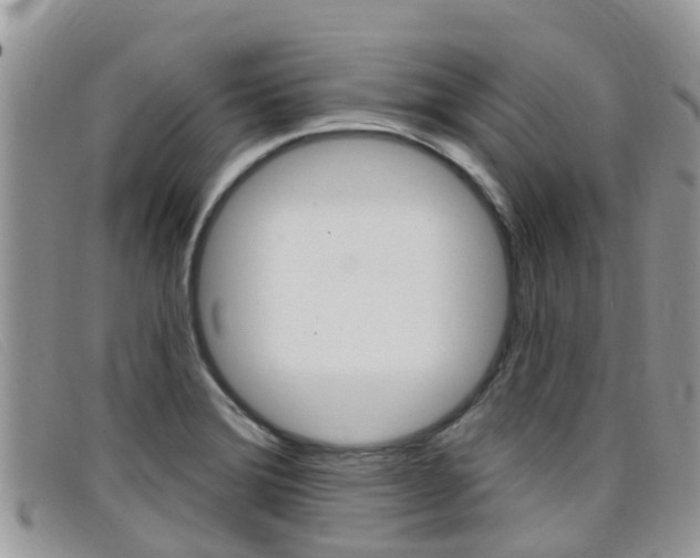 X0000099441372200805090739