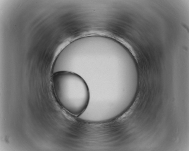 X0000099441373200805090739